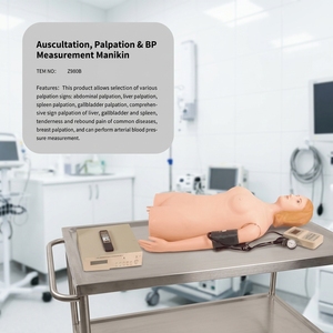 Maniquí Simulador Multifuncional para Auscultación, Palpación y Medición de Presión Arterial, para Enfermería, Ciencias Médicas - Product Image 3