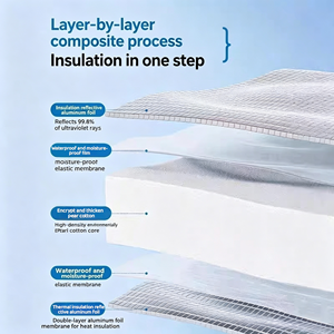 Film isolant industriel en feuille d'aluminium double face en mousse EPE <span class=keywords><strong>Isolation</strong></span> thermique pour véranda, fenêtres, ombrage de voiture, <span class=keywords><strong>prix</strong></span> d'usine - Product Image 2