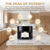 Suppléments de Shilajit OEM/ODM, résine avec minéraux, acide fulvique, magnésium, zinc, résine de Shilajit himalayenne naturelle pure