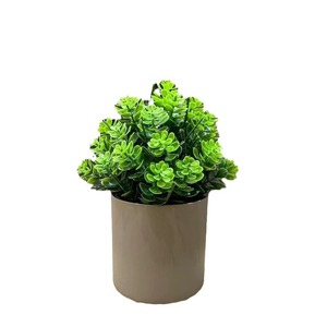 Mini-plantes artificielles en pot 18 cm, décorations de bureau en plastique eucalyptus pour la maison, le bureau et le salon - Product Image 5