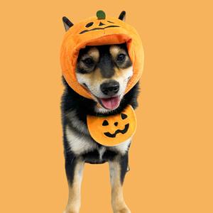 2025 Halloween calabaza fantasma gato perro mascota pañuelos lindo algodón babero especias toalla con patrón sólido accesorios de temporada de invierno - Product Image 3