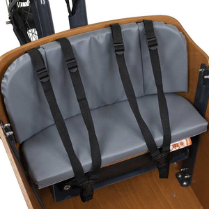 Swing Balance Marchandises Enfants Transporteur Tricycle Famille E-cargo 3 Roues Livraison Électrique Cargo Trike E Bike Vélo avec Boîte à Lumière - Product Image 4