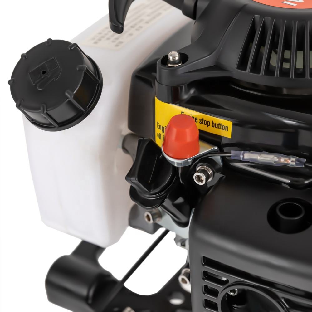 Motore Fuoribordo A Benzina 4 Tempi | 4 CV Per Barche Gonfiabili E Pesca - Raffreddamento Ad Aria E Leggero - Foto 6