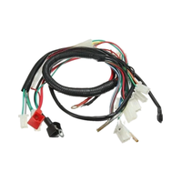 Harnais de câblage électrique personnalisé pour moto à 4 roues, VTT, UTV, avec gaine en PVC/Nylon et conducteur en cuivre étamé pour