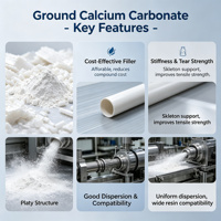 Carbonate de Calcium Industriel 700 Mesh, Pureté 97%, Poudre Blanche, Chargeur de Haute Performance pour le Compostage de PP Modifié (XF-6002)