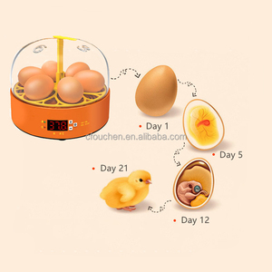 Máy Ấp Trứng <span class=keywords><strong>Mini</strong></span> Thương Mại Ouchen Bán Máy Ấp Trứng 6 Trứng Nhỏ <span class=keywords><strong>7</strong></span> Trứng - Product Image 5