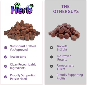 Probióticos para Mascotas OEM ODM, Probióticos para Perros con Prebióticos, Promueven un Microbioma Intestinal Equilibrado, Refuerzan la Salud Inmunológica, Masticables Suaves - Product Image 5