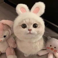 Costume de chat en gros avec chapeau, vêtements pour animaux de compagnie en coton et fausse fourrure, pull avec chapeau pour chat