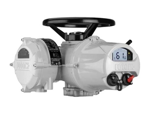 Contrôleur chinois avec actionneur IQ2 IQ3, fournisseur en stock pour les contrôleurs - Product Image 2