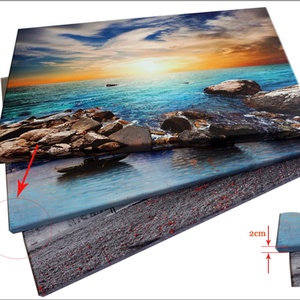 Decoración de Pared, Arte de Pavo Real, Impresiones Modernas, Cuadros Contemporáneos para el Hogar, Impresión de Póster de Animales, Pintura en Lienzo - Product Image 4