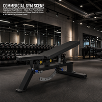 Chaise romaine en métal durable pour la plaque d'entraînement de force chargée 45 banc de sport d'exercice de dos d'extension pour l'usage à la maison de gymnase