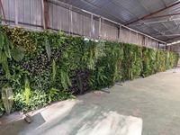 Décoration murale, fleurs artificielles en plastique vert, plantes artificielles murales, plantes vertes