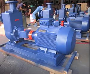 Bomba de Tubería Horizontal Autocebante Trifásica BZ ZW, Bomba de Riego para Aguas Residuales sin Obstrucciones con Gran Caudal 380v, Compatible con OEM - Product Image 5