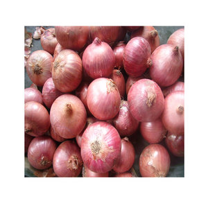 Fresh <strong>Onions</strong> Cheap Special Discount <strong>Export</strong> Quality Standard Size Yellow <strong>Onions</strong> Best Price Per Ton Saturday <strong>China</strong> Organic Food - Product Image 6