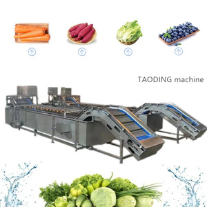 Small Scale friendly vegetable and fruit cleaning cleaning strainer with brush for vegetable fruit and vegetable washing line
