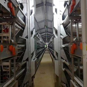 Automatic <b>Chicken</b> Layer <b>Cage</b> for Poultry Farming for Feed Making Machine - Product Image 4