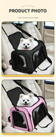 Sac de transport souple pour animaux de compagnie, grande capacité, maille respirante, pour les promenades et les voyages quotidiens, avec poignées confortables