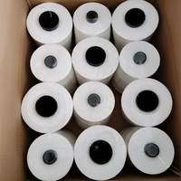 Fil à coudre torsadé brut 100 % polyester haute résistance pour machine à coudre automatique de sacs à grande vitesse