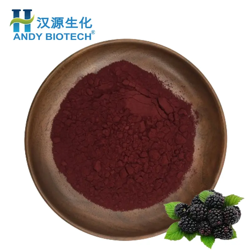 Precio a granel Fresh Blackberry Extract Powder 10% Antocianidinas Blackberry Extract