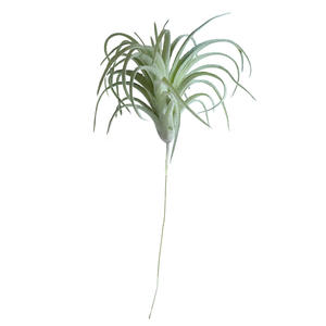 En gros Décorations De Table De Mariage Herbe en Plastique Artificielle <span class=keywords><strong>Tillandsia</strong></span> D'air Usine - Product Image 5