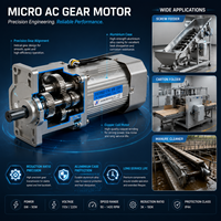 Moteur à engrenages micro CA pour équipement d'automatisation personnalisé, unité de levage pour petit ascenseur, option de frein, amplification du couple, boîtier en aluminium