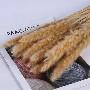 Fleurs séchées de la <span class=keywords><strong>pampa</strong></span> moelleuses Petit <span class=keywords><strong>mini</strong></span> bouquet de pampas séchées pour la décoration - Product Image 5