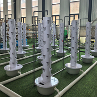 Système hydroponique vertical efficace pour la culture en serres agricoles, adapté aux petites exploitations agricoles
