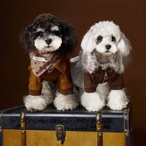 <span class=keywords><strong>Hot</strong></span> Selling Brown Luxus Hunde mäntel Haustier Kleidung Haustier Jacke Winterkleid ung für Hunde - Product Image 2