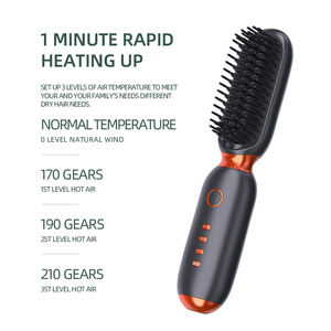 EFA WS013 OEMポータブルミニコードレス3速充電式ストレートコームヘアストレートナーナイロンプラスチックハンドル3世帯 - Product Image 2