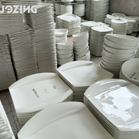 Assiettes en Céramique Blanches de Grossiste d'Usine par Ton, Services de Table en Porcelaine pour Hôtels et Restaurants