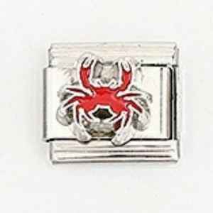 Stainless Steel Italian Module Bracelet Series Ocean Style DIY Elastic Bracelet Gold Plated Italian <b>Charms</b> Diamond Main Stone - Product Image 5