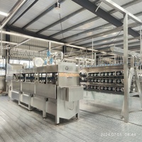 Équipement d'abattoir à volailles semi-automatique, projet clé en main, machine d'abattage de volailles, 1000 oiseaux par heure