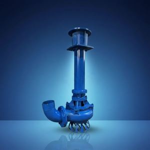 Bomba Centrífuga Vertical de Alta Calidad, Bomba Sumergible para Lodos y Polvo de Aleación de Cromo, Alta Presión, Personalizable OEM - Product Image 6