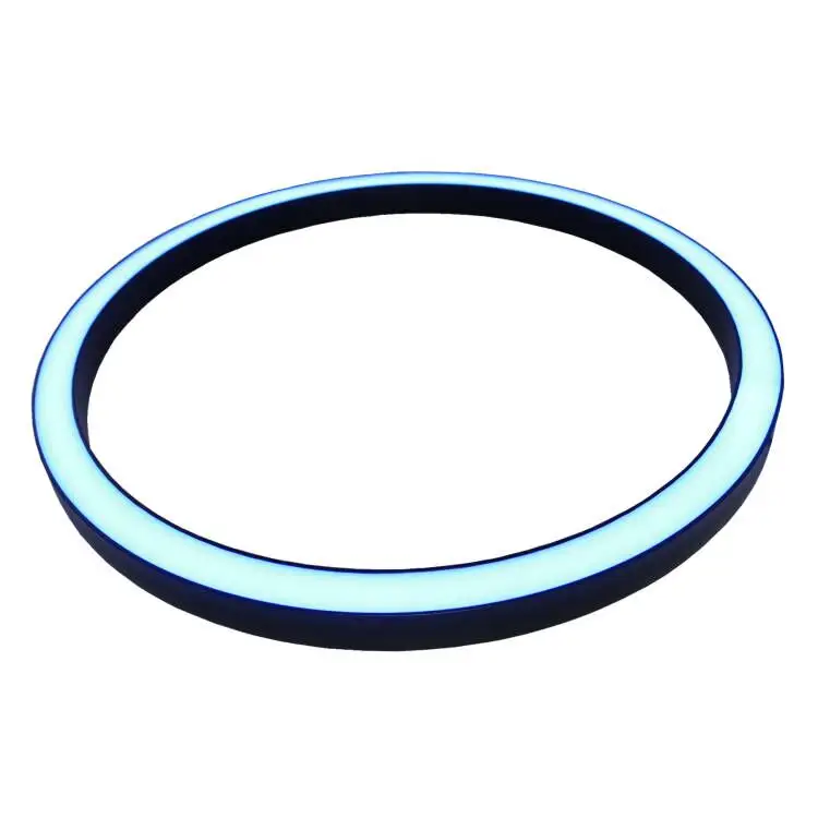 DMX512 Artnet Ceiling Circle Ring Lights RGB Full Color DMX LED Circle Light