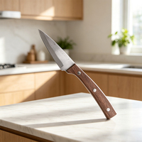 Koksmes Set Met Nieuw Design Walnoothout Handvat Roestvrijstalen Antiaanbaklaag Keukenmessenset