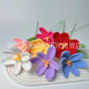 Bouquet de fleurs en laine colorées, tissées à la main, cadeau personnalisé, fleurs au crochet faites à la main, cadeau pour elle - Product Image 2