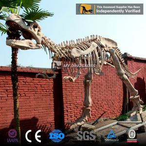 Mi <span class=keywords><strong>DINO</strong></span> DS-038 juegos tamaño <span class=keywords><strong>T</strong></span>-<span class=keywords><strong>Rex</strong></span> dinosaurio esqueleto de atracción - Product Image 2