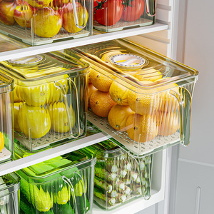 Refrigerator Storage Box Rectangle With Handle Food Grade For Fruits Vegetables Eggs And Dumplings - Product Image 2