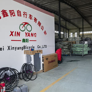 Vente en gros d'usine, vélos à trois <span class=keywords><strong>roues</strong></span> en acier à haute teneur en carbone pour enfants, 4 en 1, ticycle, poignée de poussée réglable, ceinture de sécurité à trois points, auvent - Product Image 5