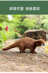 Simulazione lontra bambola peluche mare lontra bambola cuscino <span class=keywords><strong>Zoo</strong></span> ornamenti bambola di pezza all'ingrosso - Product Image 3