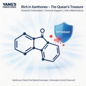 ผงมังคุดอบแห้ง 100% บริสุทธิ์ ไม่มีสารเติมแต่ง เกรดอาหาร แอกซานโทนส์สูง ละลายน้ำได้ อาหารเพื่อสุขภาพ บรรจุภัณฑ์ขนาดใหญ่ สำหรับส่งออก - Product Image 5