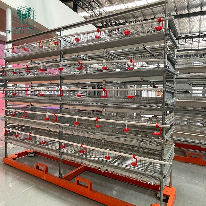 stainless steel quail cage