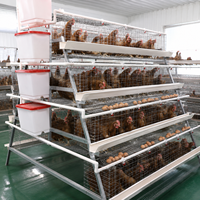 Système de cages en batterie automatiques galvanisées pour poules pondeuses de type A HK avec accessoires complets