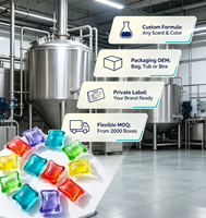 Capsules de lessive jetables écologiques multicolores à marque privée du fabricant, parfums personnalisables, haute concentration, pour les marchés américain et européen