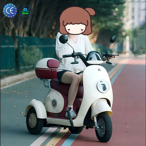 Tricycle électrique ouvert, petit modèle pour femmes, usage domestique, transport <span class=keywords><strong>adulte</strong></span>, loisirs, scooter électrique, vélo électrique - Product Image 5