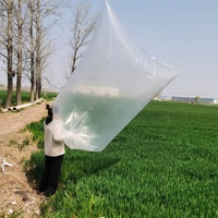 Sac en vrac respirant de qualité alimentaire avec doublure intérieure en PE pour le transport du riz, du maïs, des noix et des produits agricoles
