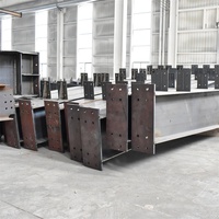Estructura de Acero Resistente a la Corrosión, Edificio Industrial, Diseño Personalizable, Fabricante, Proveedor, Precio de Fábrica