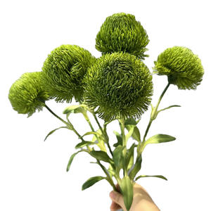 Bola <span class=keywords><strong>de</strong></span> Dianthus Verde Artificial Premium, Flor <span class=keywords><strong>de</strong></span> <span class=keywords><strong>Gel</strong></span> Suave al Tacto Real, <span class=keywords><strong>para</strong></span> Decoración Floral del Hogar y Venta al por Mayor - Product Image 5