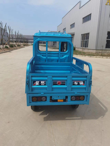 Hai Hàng 1.3 Mét Nhà Máy Bán Buôn Tùy Chỉnh Năng Lượng Mới Hành Khách Điện Xe Ba Bánh Và Vận Chuyển Hàng Hóa Xe Ba Bánh - Product Image 5