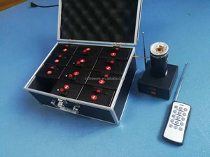 E12 Bán Buôn Tổ Chức Sự Kiện Đám Cưới Pyro Pháo Hoa Từ Xa Chụp Pháo Hoa Bộ Điều Khiển Đánh Lửa Hạnh Phúc Bắn Hệ Thống Cho Bán - Product Image 4